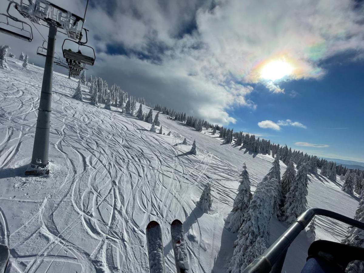 Pano Kopaonik Panorama Lägenhet Exteriör bild